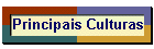 Principais Culturas