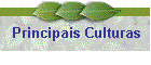 Principais Culturas