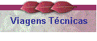 Viagens Tcnicas